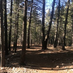 Meet your Posher, Kaitlin